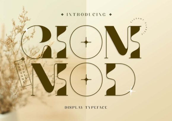 Giom Mod Font for Editorial Design
