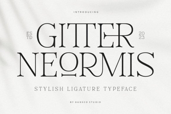 Gitter Neormis Font for Editorial Design