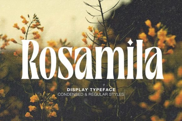 Rosamila Font: Elegant Serif for Digital Design