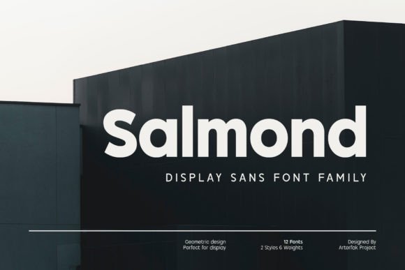Salmond: A Modern Font for Business Clarity