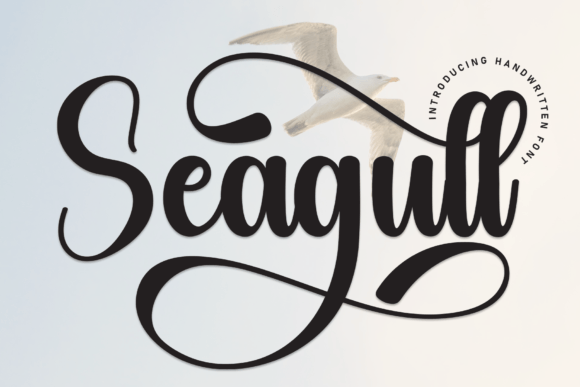 Seagull Font for Creative Makers